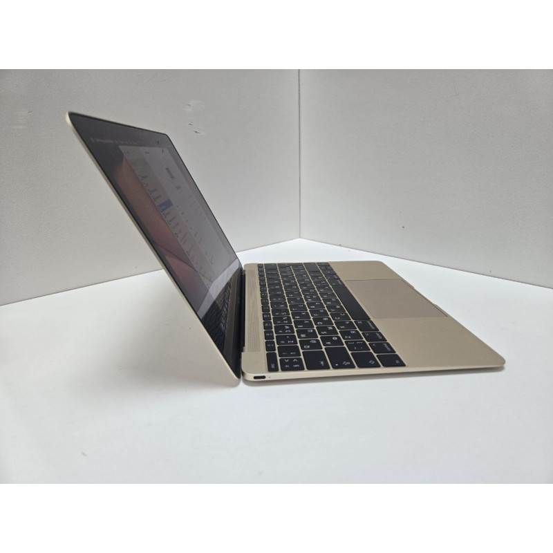 Ноутбук Apple MacBook 12 Retina Mid 2017            
            б/у